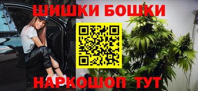 прущие грибы Беслан