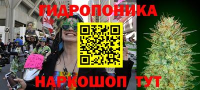 мет Бийск