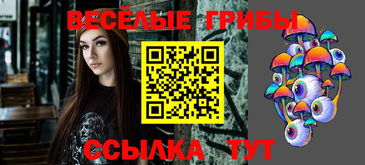 Псилоцибиновые грибы Psilocybine cubensis Кинель