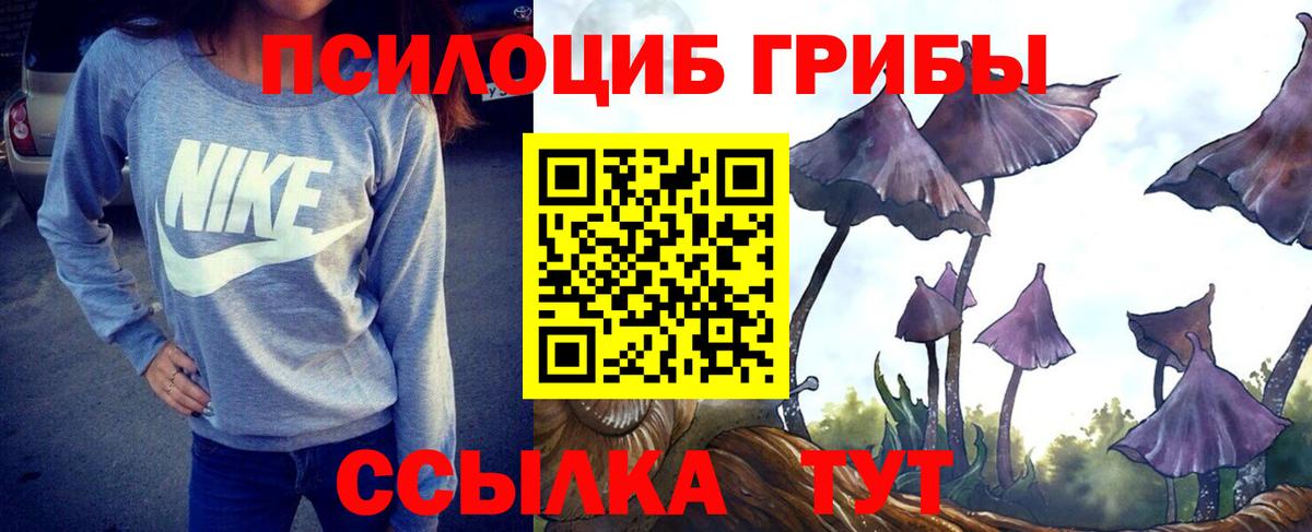 Кинель  Псилоцибиновые грибы Psilocybine cubensis  Псилоцибиновые грибы Magic Shrooms  Вход с VPN 